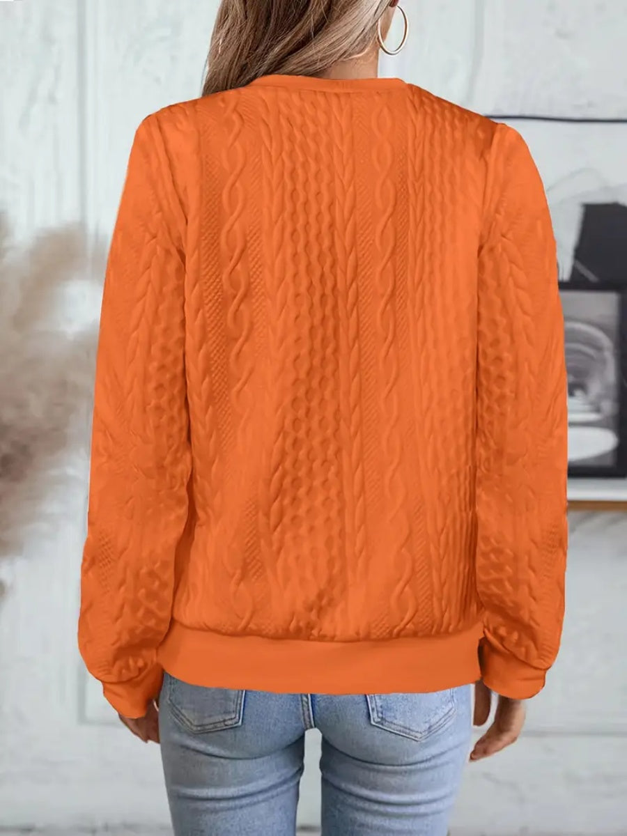 ✨Best-1 Sale Sweatshirt 2025✨Damen elegantes Sweatshirt mit Schlangenmuster und Reißverschluss Langarm Rundhals Freizeit-Pullover