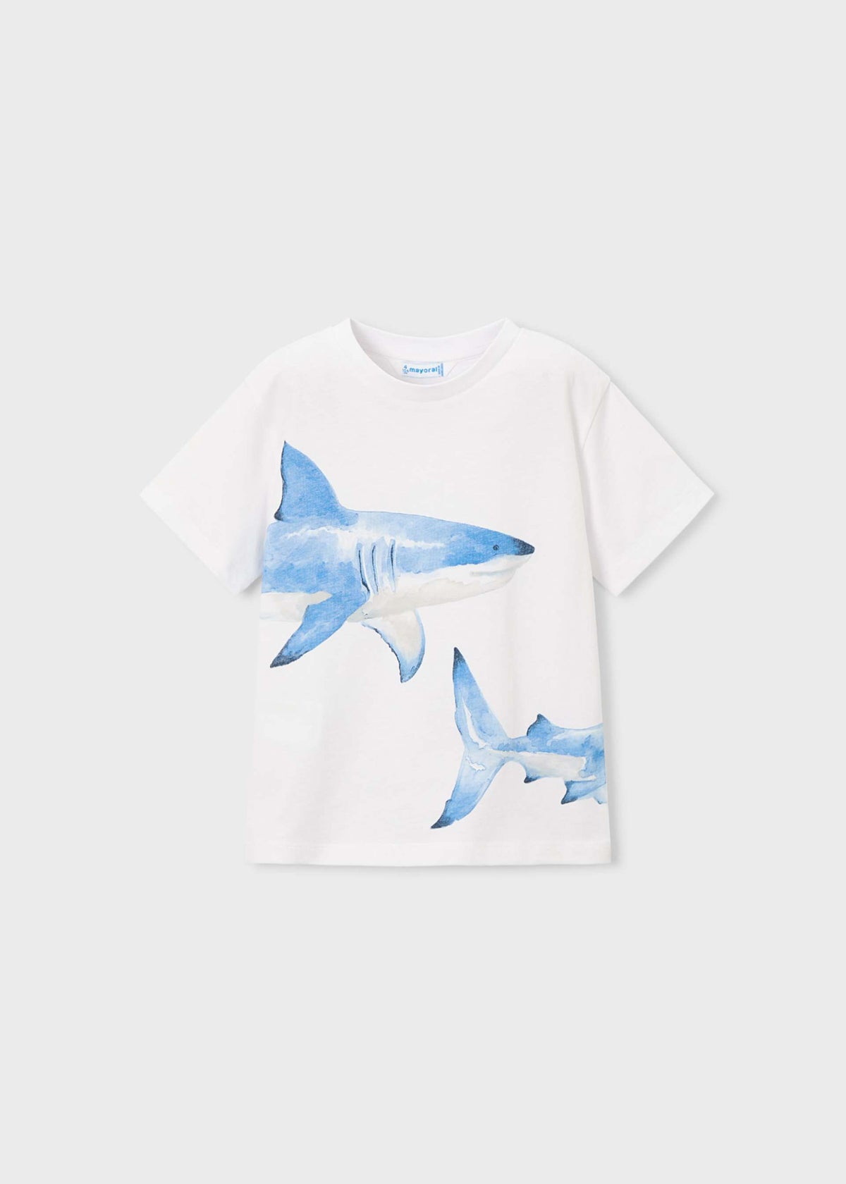 Shark t-shirt boy